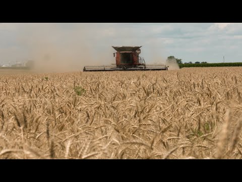 Building Local Market for Local Grain