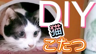 【猫こたつDIY】材料費０円！（家にある物）これでみんな温かい所で寝れるにゃん！