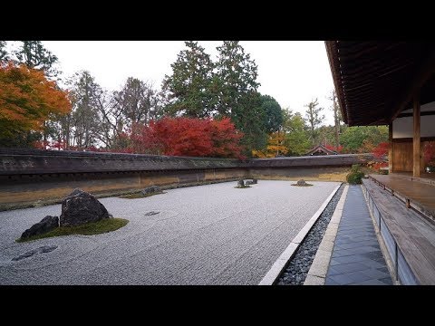 4K KYOTO [viewTV-95] 龍安寺 秋の石庭 ”Ryoanji Temple, autumn stone garden"