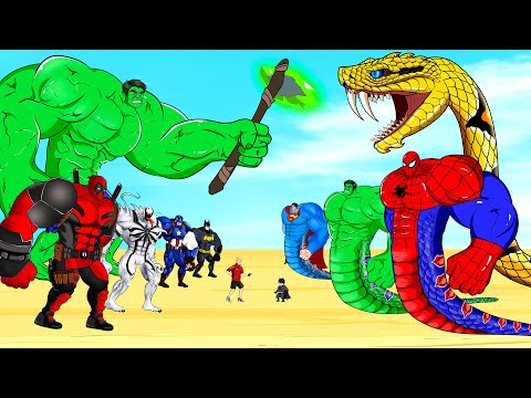 Rescue All HULK Family & SPIDERMAN, SUPERMAN, BATMAN, VENOM : From Evolution of GIANT PYTHON - FUNNY