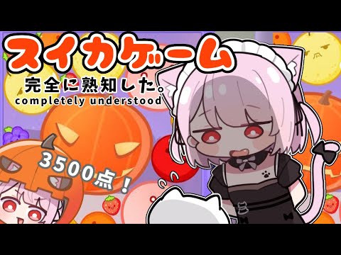 【スイカゲーム】かぼちゃで３５００点とりたい；。；！！Support us～