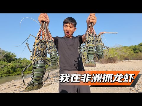 《科摩罗》第3集：独闯非洲红树林，大青蟹还未开始抓，竟先发现大龙虾老巢，随便一抓就收获满满  #无人岛 #荒岛 #荒岛探索 #抓龙虾 #抓螃蟹 #红树林 #赶海