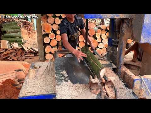 Timber Transformation Turning Raw Wood into Usabl