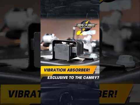 Vibration Absorber！Exclusive to the Camry？#safetyfirst #dcarstudio  #toyota