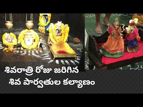 Maha shivaratri Lord siva and devi parvathi kalyanam/Telugudanam by Divyavarma