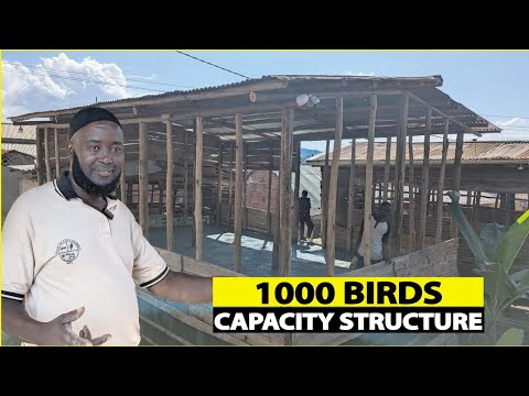 How He Constructed A chicken House with less capital using local  Materials As a Poultry Beginner.