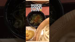 【丸亀製麺】釜揚げうどん半額デー🫢 #毎月1日 #癒しのグルメ #japanesefood #UDON #shorts