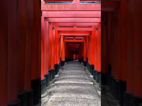 【4K】Fushimi-Inari Taisha Shrine-伏見稲荷大社- 千本鳥居