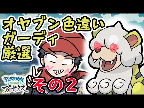 オヤブン色違いガーディ厳選ガチでやる配信その２【Pokémon LEGENDS アルセウス】