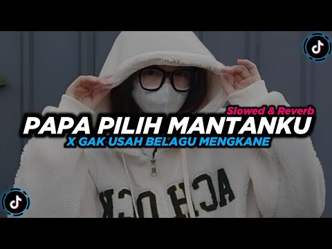 DJ Papa Pilih Mantanku X Gak Usah Belagu (Slowed & Reverb)