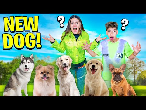 Picking a NEW DOG! *Emotional*