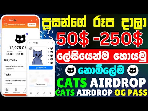 Cats airdrop  sinhala | cats telegram airdrop new task | Cats airdrop OG pass