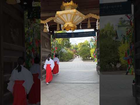 Kyoto Kitano Tenmangu Shrine #北野天満宮 #walkingtour #kyoto #japan #shrine #kyotolife #shinto