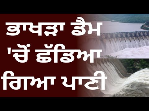 Water In Ghaggar River Rose Due To Release Of Water From Bhakra Dam Last Night ||#bhakradam