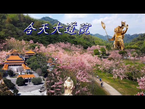 巨大地球上的彌勒佛 旗山 合天大道院 與 蝶舞澗/神奇的廟宇一條街/1200棵花旗木粉花森林/彩色小籠包與三哥臭豆腐/高雄四月看櫻花