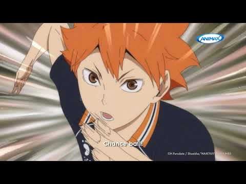 HAIKYU!! MARATHON STUNT - Trailer