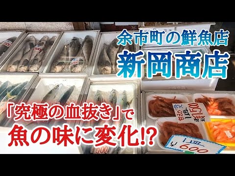 【北海道】余市の新岡商店🐟津本式究極の血抜き認定の店！旬の魚介類も豊富🤩