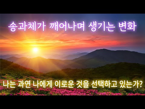 송과체가 깨어나며 생기는 변화 | 나는 과연 나에게 이로운 것을 선택하고 있는가 | 송과체 활성화에 도움되는 음원 공유합니다