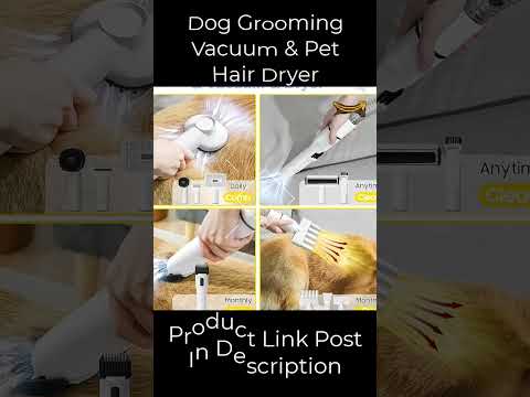 Dog Grooming Vacuum & Pet Hair Dryer | #shorts