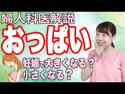 【産科医解説】おっぱい大きくなる妊娠 出産で小さくなる??【体験談】