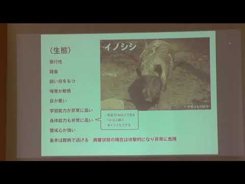 令和６年度　イノシシによる人身被害防止研修会