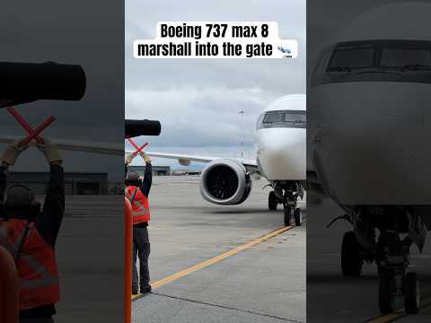 Boeing 737 max 8 marshall into the gate 🛬 #boeing #737 #aviation