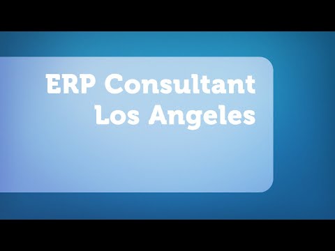 ERP Consultant Los Angeles