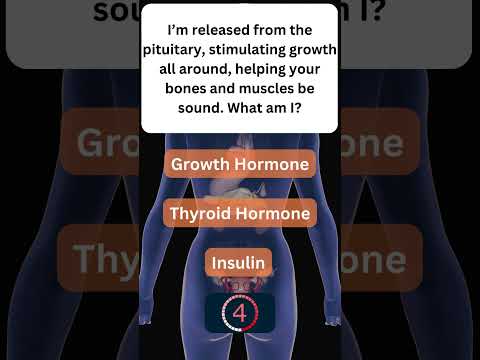 Learn About Your Hormones! 🧠 #EndocrineSystem 1