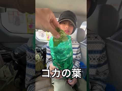 [親子で世界2周目]ボリビア①ウユニ塩湖