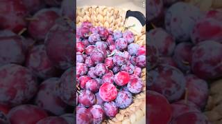 Harvesting Fruits and Vegetables | Purple Apple Harvest | Amazing Organic Farming Techniques