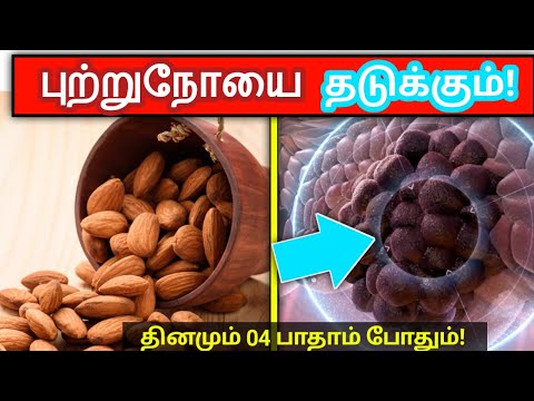 தினமும் 04 பாதாம் போதும்! | புற்றுநோயை தடுக்கும் அருமருந்து! | Best medicine for cancer in tamil