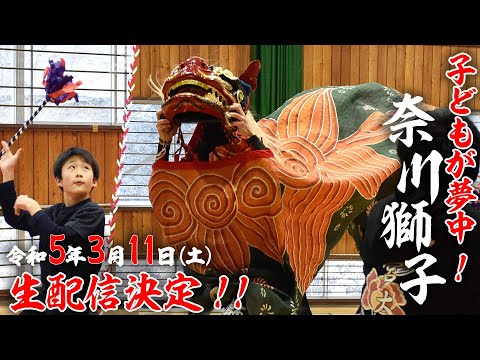 【公式】奈川獅子　子どもからカッコいい！