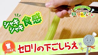 【プロ監修】vol.79 セロリの下ごしらえ【料理の基本】