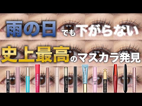 【限定販売】急いで！本当にプチプラ！？マスカラ14種徹底比較！！