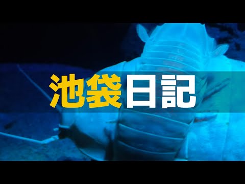 【日記】池袋で食べ歩き。サンシャイン水族館も