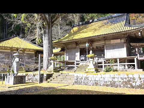 黄金の寺院　日光院の境内は黄金色