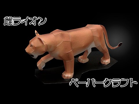 雌ライオンのペーパークラフトの作り方（DIY; How to make a lioness papercraft 3D）