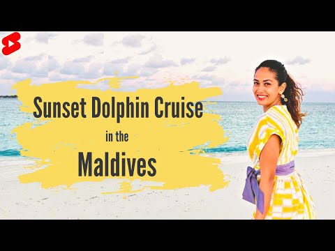 Sunset Dolphin Cruise in the Maldives! 🌅