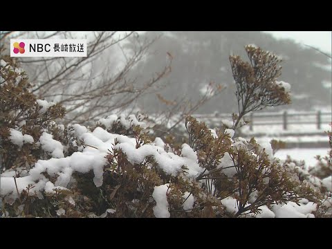 寒気到来　長崎市で初雪　佐世保市の山間部では積雪も　長崎県内５地点で今シーズン最低気温　　