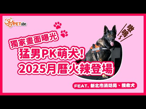 猛男PK萌犬！2025月曆火辣登場🔥獨家畫面曝光✨Feat.新北市消防局&搜救犬【編走編看】｜#哈寵PETube 第298集