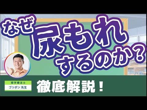 【徹底解説】尿もれとは？頻尿、過活動膀胱で夜に眠れない・外に出れない悩みから抜け出そう！原因と予防策について(前編)