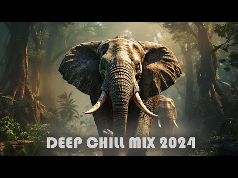 XxX - Deep Chill Mix 2024 🌴  Dj Goja 🌴  Suleymer  🌴 #003