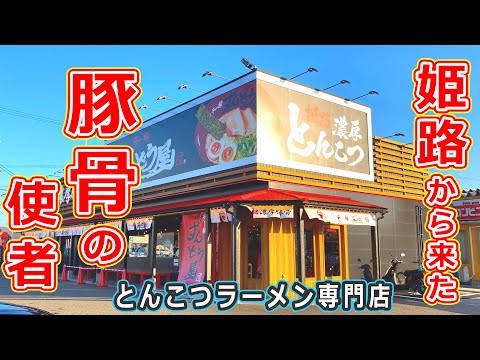 【福井県のグルメ】ずんどう屋が福井市大和田に新店オープン！ とんこつラーメン専門店の味玉ラーメンがうますぎた！【福井県福井市ランチ】