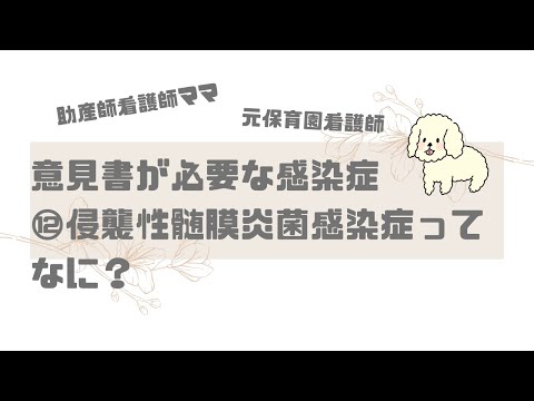 【保育園看護師】意見書が必要な感染症⑫侵襲性髄膜炎菌感染症ってなに？