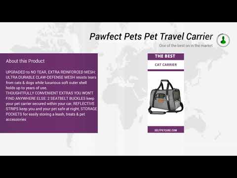 Pawfect Pets Pet Travel Carrier