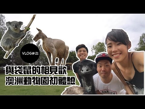 這就是澳洲Vlog｜EP21 與袋鼠的相見歡 澳洲動物園初體驗 【丹丹尼斯DENNIS】