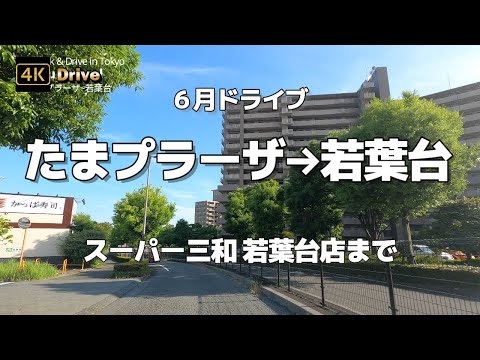 【ドライブ4K】【たまプラーザ→若葉台~6月ドライブ】【スーパー三和 若葉台店まで】【美しが丘→王禅寺→麻生区→平尾→坂浜→若葉台】【美しい邸宅美しが丘～変わりゆく平尾～電線のない美しい若葉台】