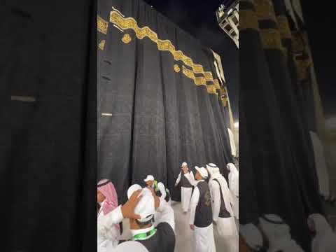 #viralvideo #love #madinasharifkividio #love #masaallah 🕋🕋🤲🤲🤲❤️❤️