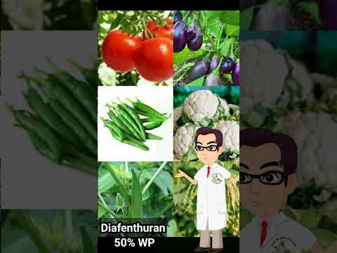 Diafenthuran Insecticide #shortsvideo #shorts #insecticide