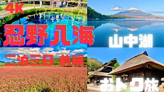 【4K】富士五湖二泊三日前編（忍野八海／山中湖／宿泊お得情報）